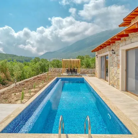 Zen Villa